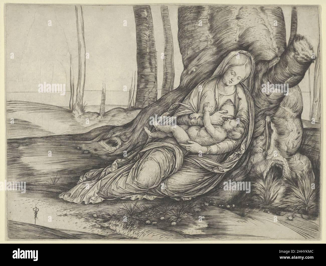 The Madonna nursing the Christ Child at the foot of a tree ca. 1502–3 Jacopo de' Barbari Italian. The Madonna nursing the Christ Child at the foot of a tree  368607 Stock Photo