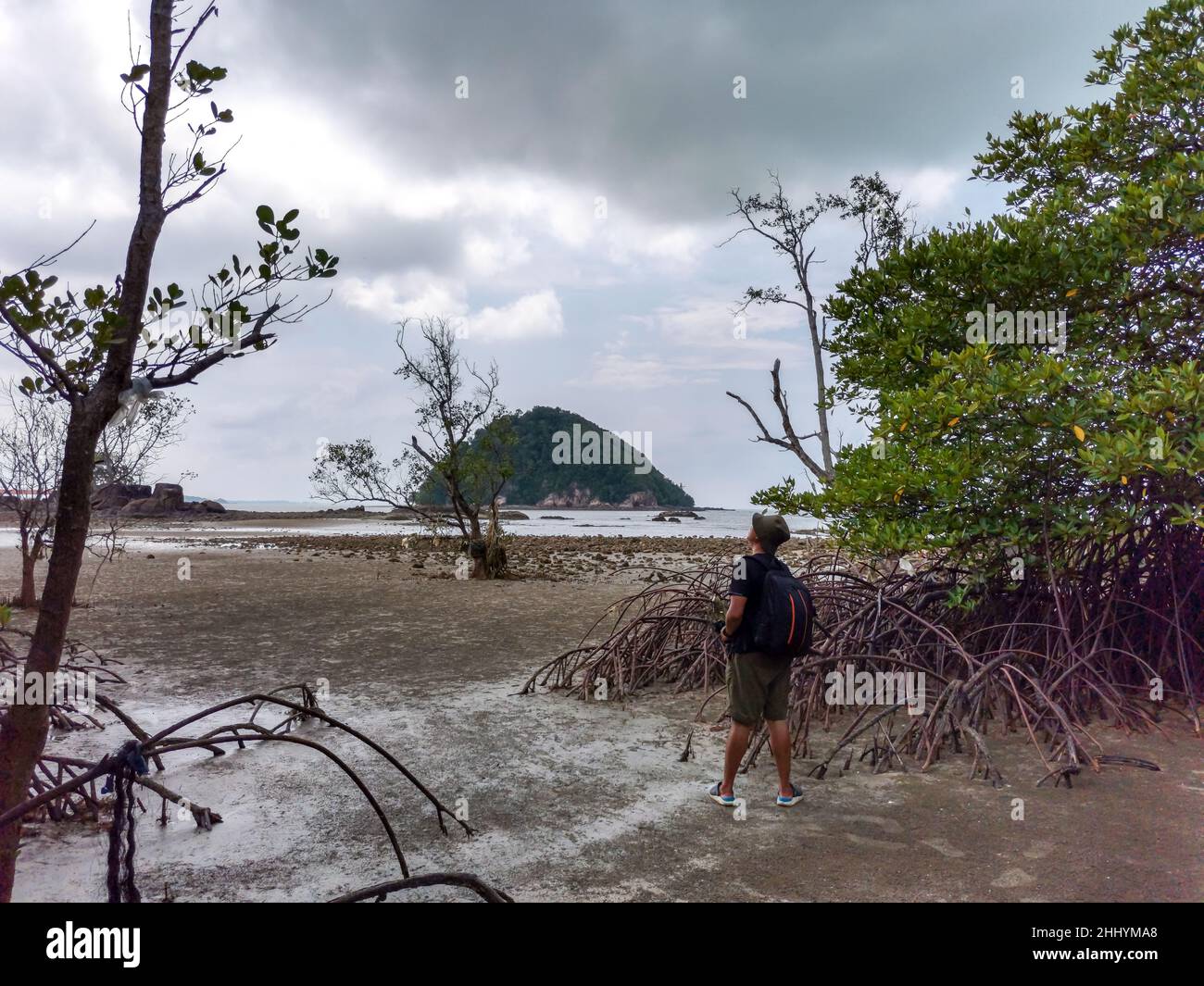 Traveller asian backpacker stand in deforested mangrove forest beach during low tide period with dead trees and cloudy sky. Summer day travel. Endau, Stock Photo