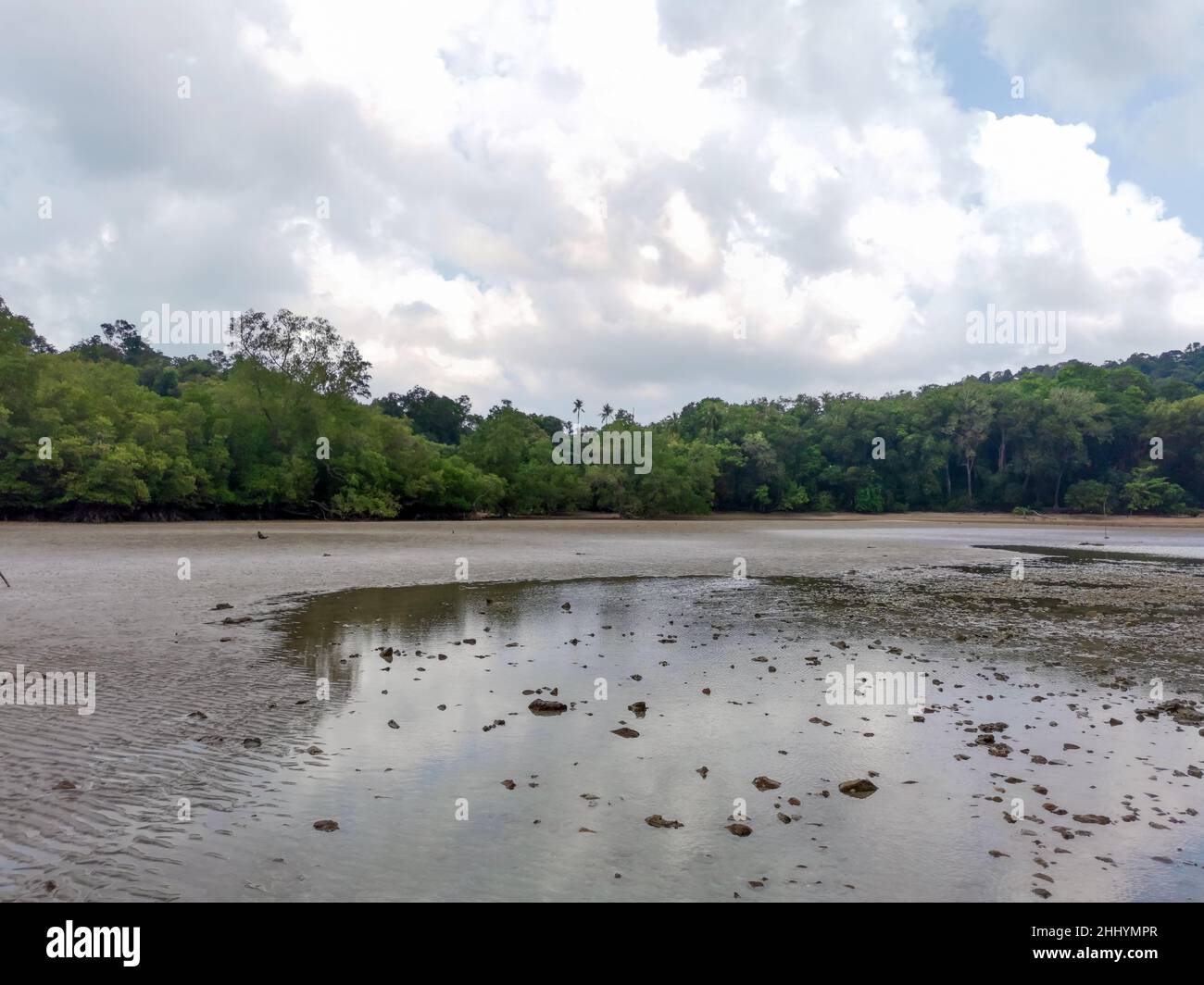Sea beach at low tide with cloudy sky and mangrove rainforest background. Beautiful seascape view from sea and sand and shallow water with reflection Stock Photo