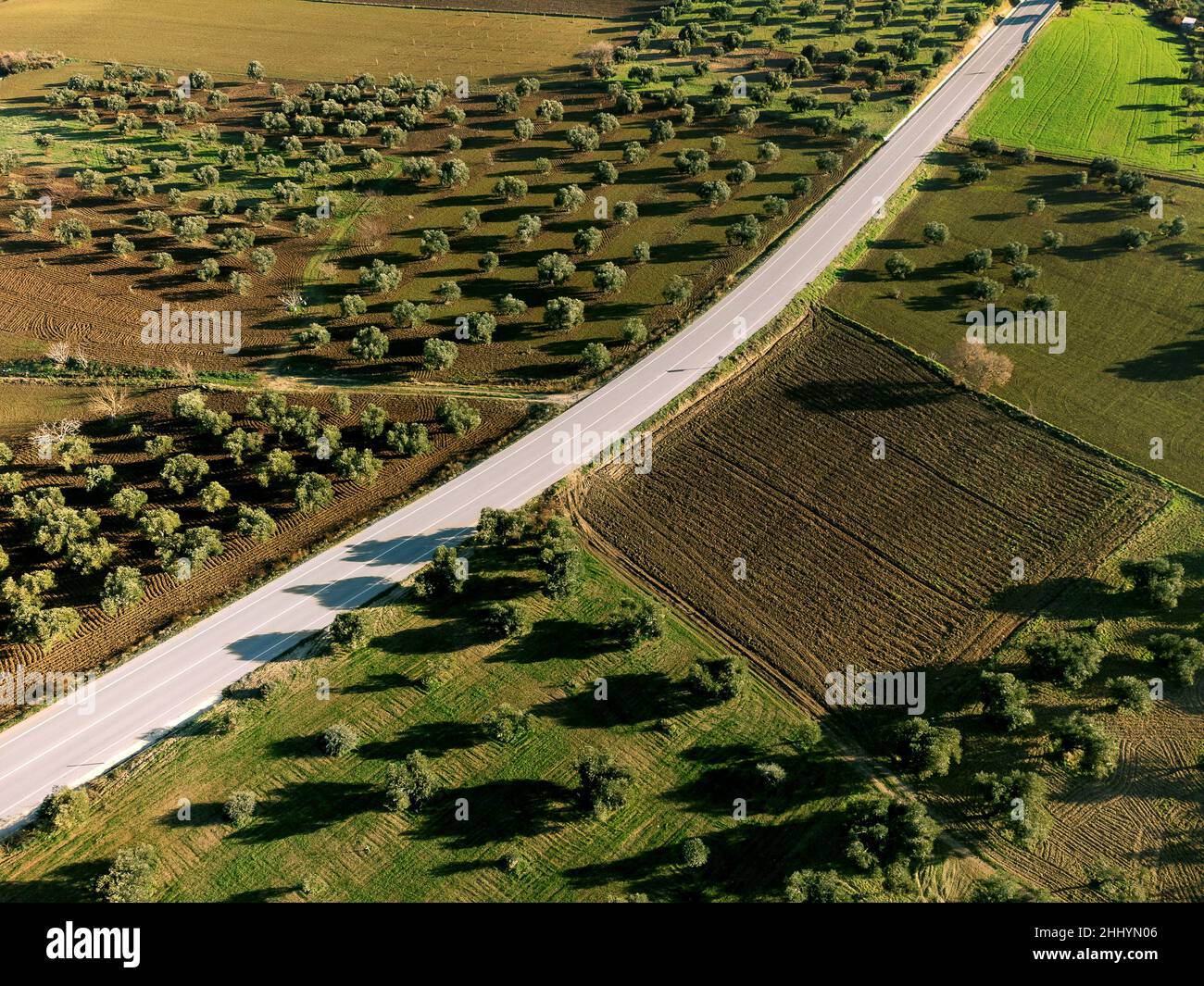 Aerial view of Olive fields with a country road and farms Stock Photo ...