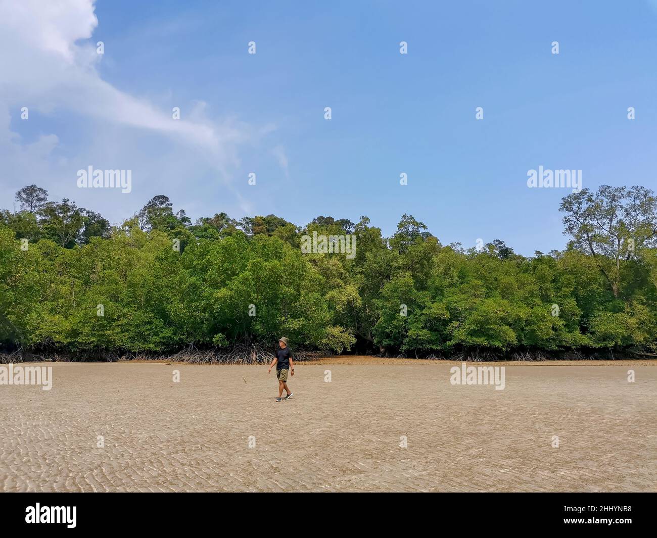 Male asian traveler walking on sandy beach with mangrove forest background during low tide period; Travel lifestyle adventure concept. Summer day natu Stock Photo