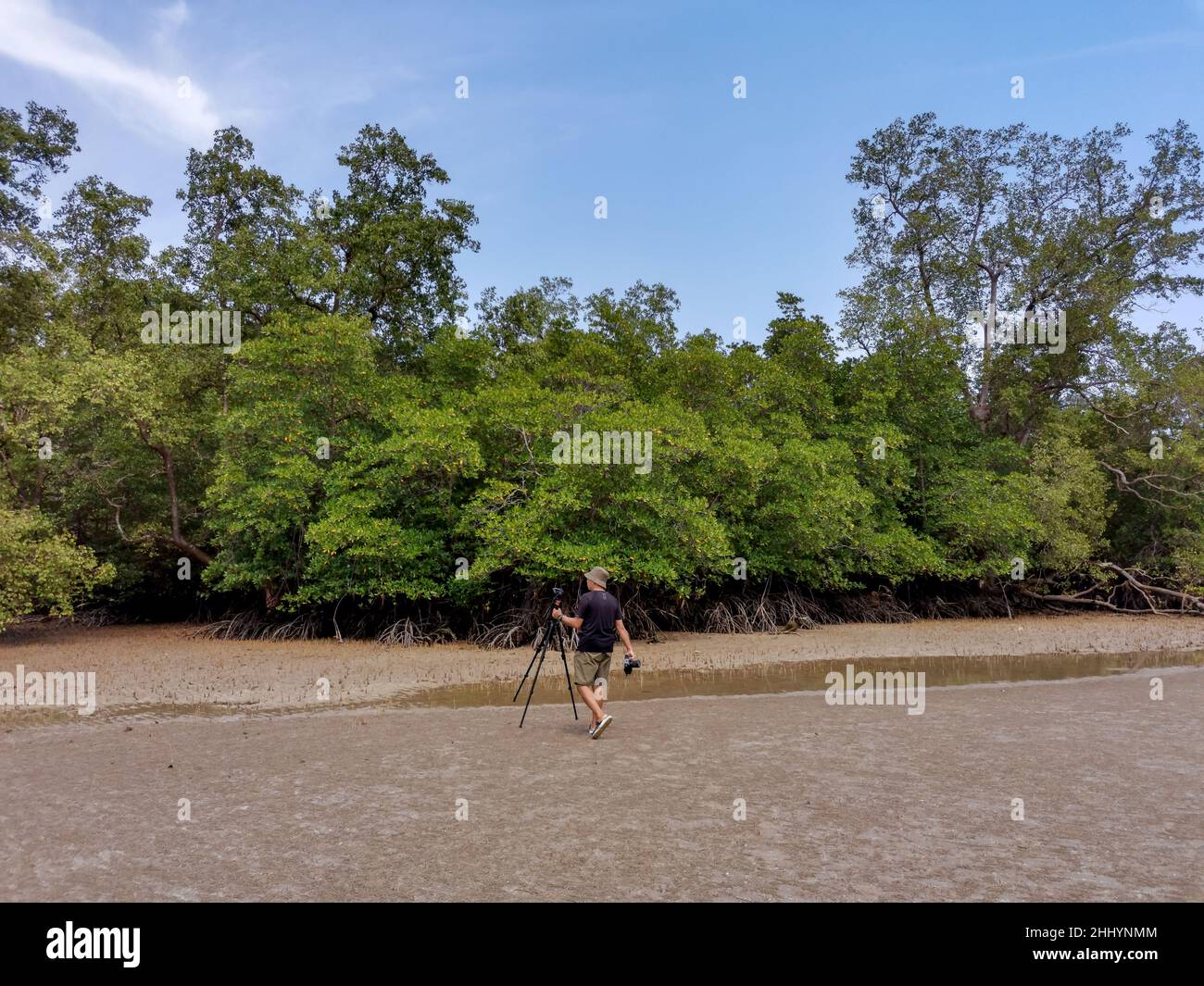 Male asian traveler holding camera and tripod walking to mangrove forest during low tide period; Travel lifestyle adventure concept. Nature photograph Stock Photo