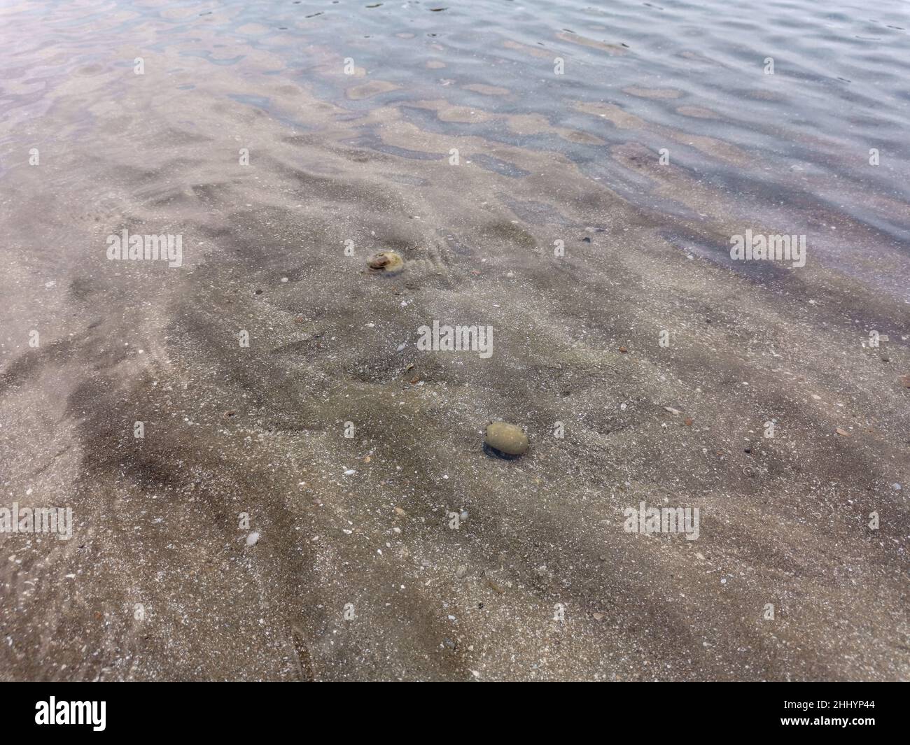 Clear water ripple surface of sandy beach. Hermit crab in shallow ocean water. Tranquil waves of the sea. Beautiful seascape Stock Photo
