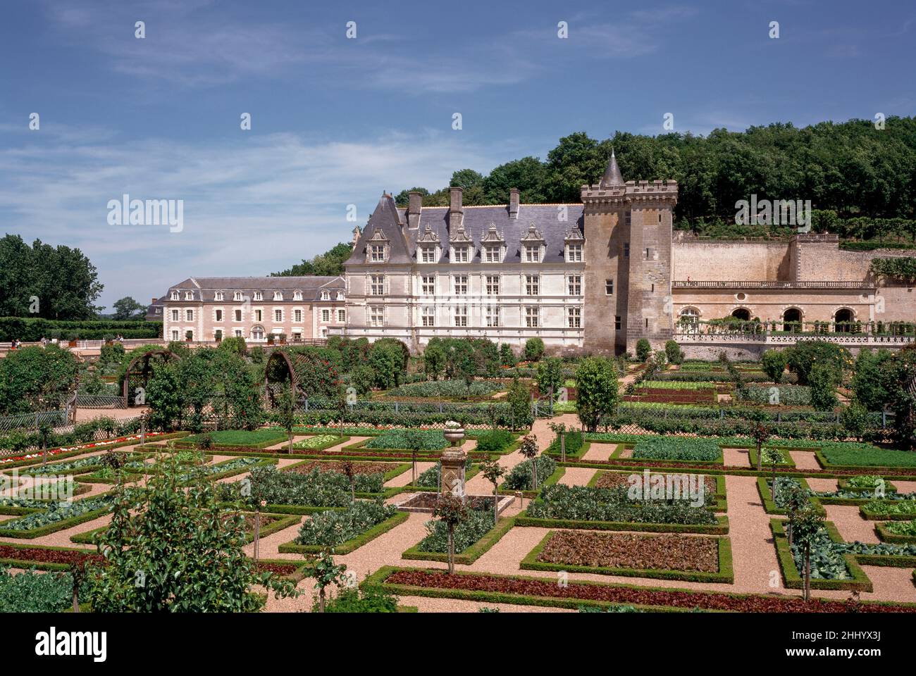 Potager garden chateau de villandry hires stock photography and images