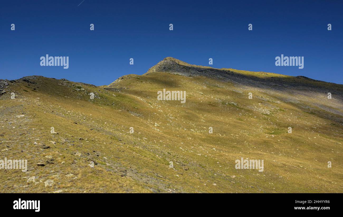 Bassiets peak between alpine meadows, in the Alt Pirineu Natural Park (Catalonia, Spain, Pyrenees) ESP: Pico de Bassiets entre prados alpinos Pirineos Stock Photo