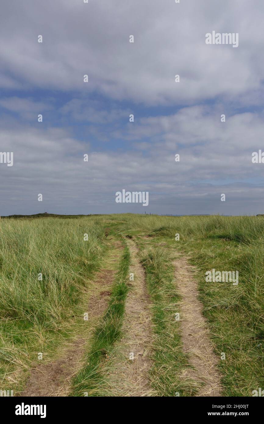 Trodden footpath in field, Penally, Pembrokeshire, Wales, UK Stock Photo