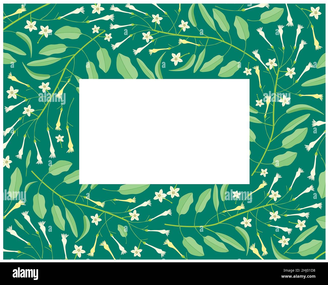 Beautiful Flower, Illustration Frame of White Tuberose Flowers or Night Blooming Jasmine with Green Leaves. Stock Photo