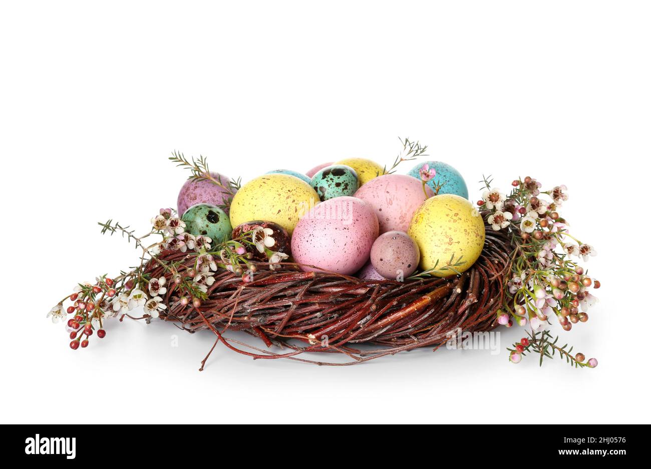 Nest with colorful Easter eggs isolated on white background Stock Photo ...