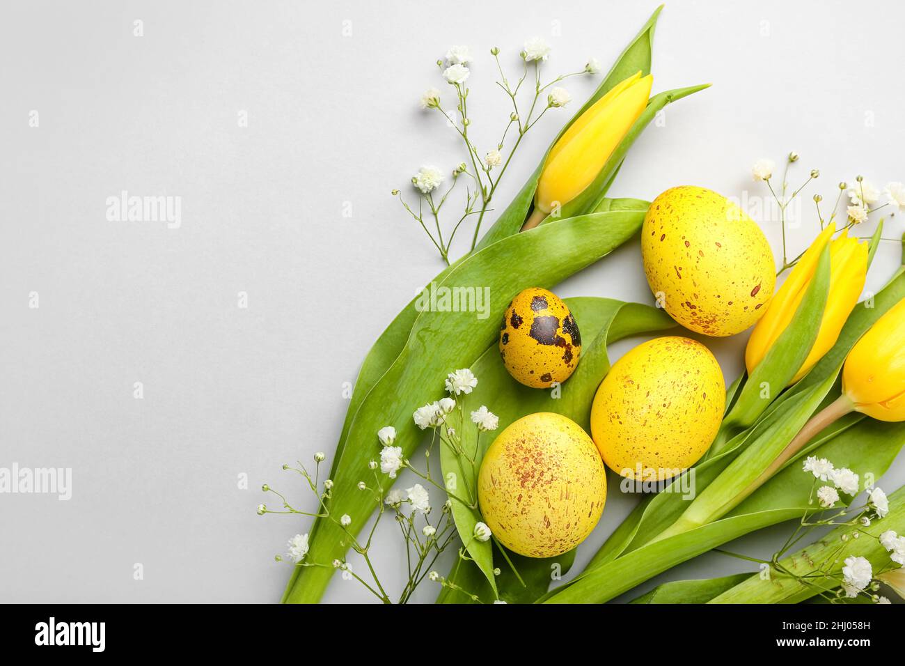 Composition with beautiful Easter eggs and flowers on white background ...