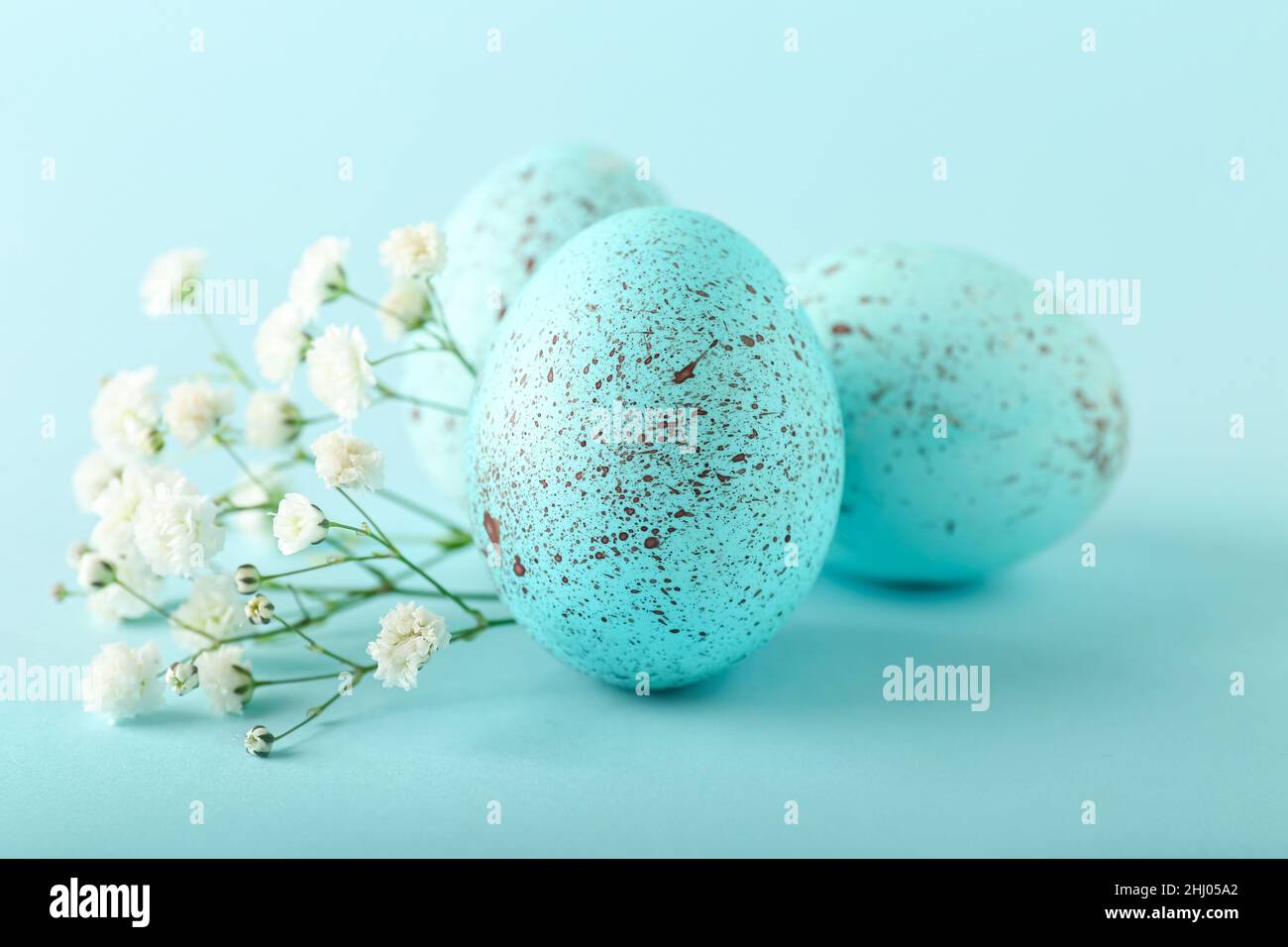 Painted Easter eggs and gypsophila flowers on color background Stock ...