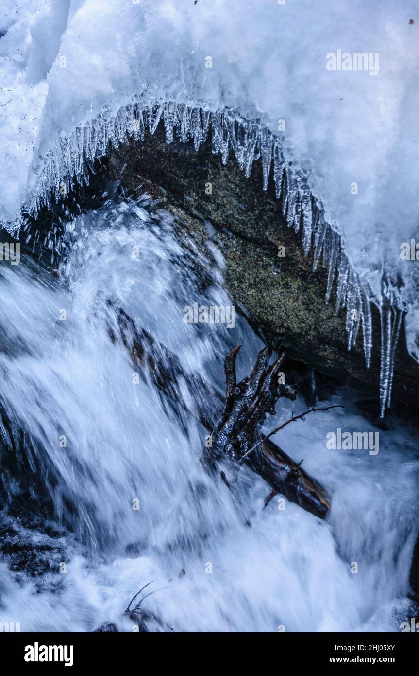 Snow and ice details in the Cabanes river in the Gerdar forest during winter (Aigüestortes i Estany de Sant Maurici National Park, Catalonia, Spain) Stock Photo