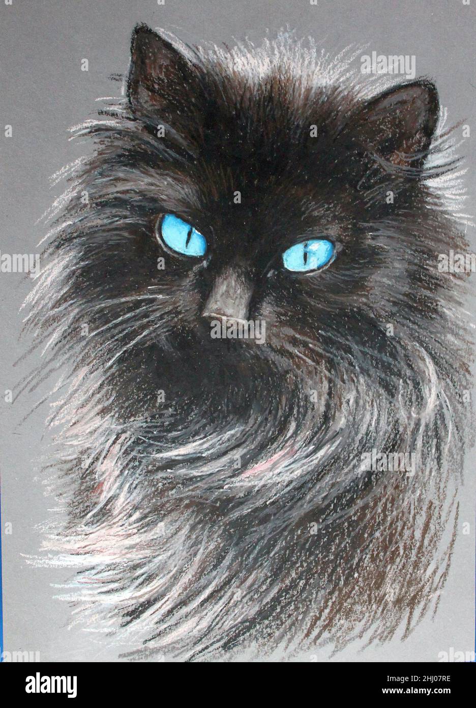 Chinese Ink Minimalism Original Black Cat Drawing Animal's Collection