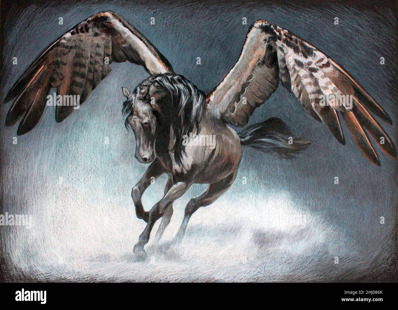 A beautiful and majestic black pegasus spreads its wings for takeoff.  Drawing. Stock Photo