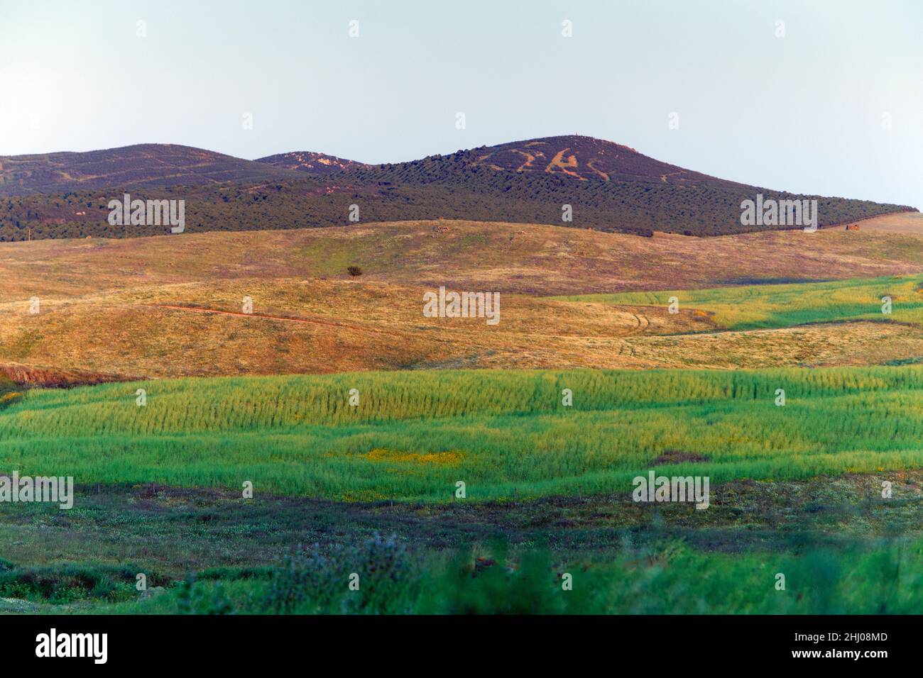Rolling Pastureland, at sunset, Castro Verde, Alentejo, Portugal Stock Photo