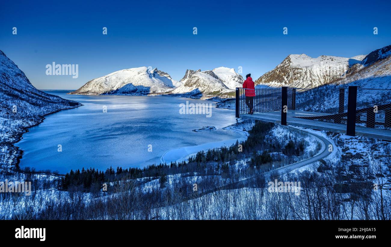 View of the Nordfjord fjord (Senja island) seen from the Bergsbotn lookout platform, on a cold sunny winter morning (Senja, Norway) Stock Photo