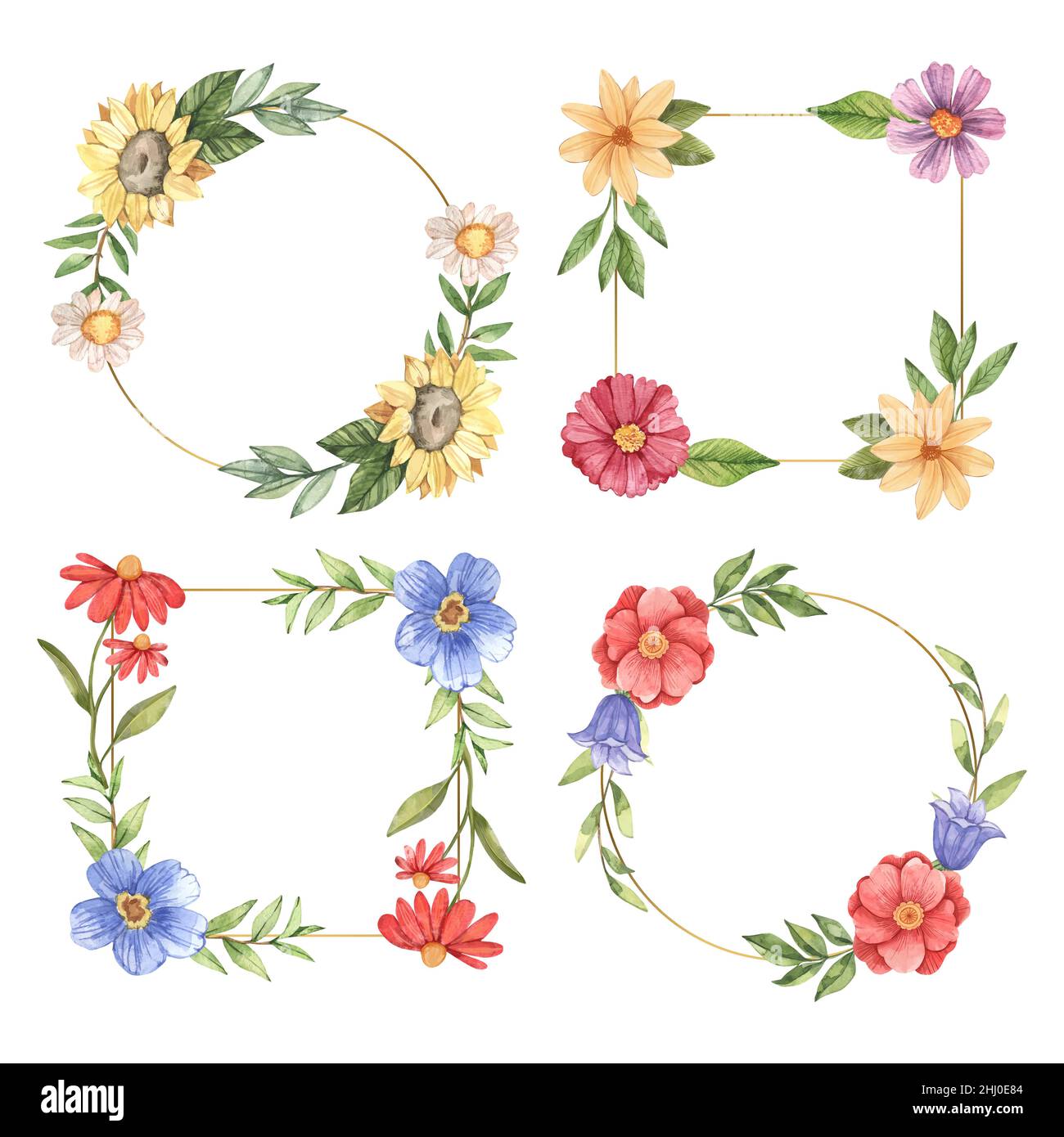 Watercolor floral frames set Vector illustration Stock Vector Image ...