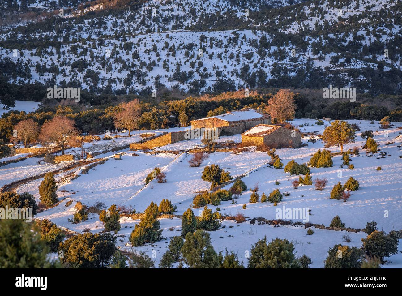 Rural scene in a winter sunrise, after a snowfall near Morella (province of Castellón, Valencian Community, Spain) ESP: Imagen rural en un Castellón Stock Photo
