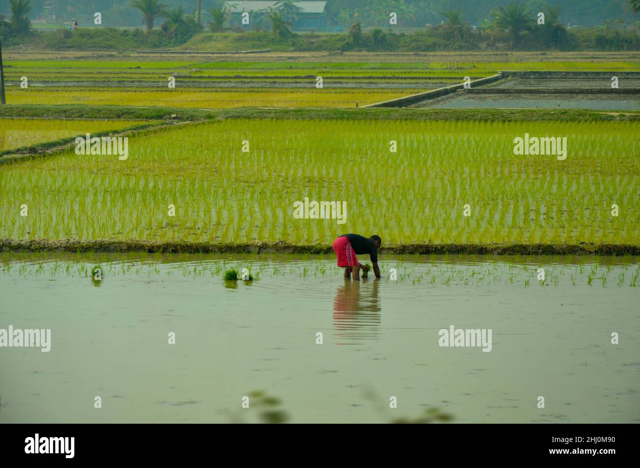 View of Mymensingh, Bangladesh Stock Photo