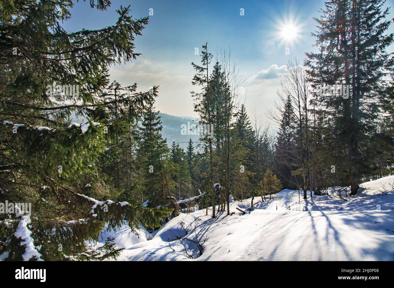 Black Forest Range Winter Hi res Stock Photography And Images Alamy Black Forest Range Winter Hi res Stock Photography And Images Alamy