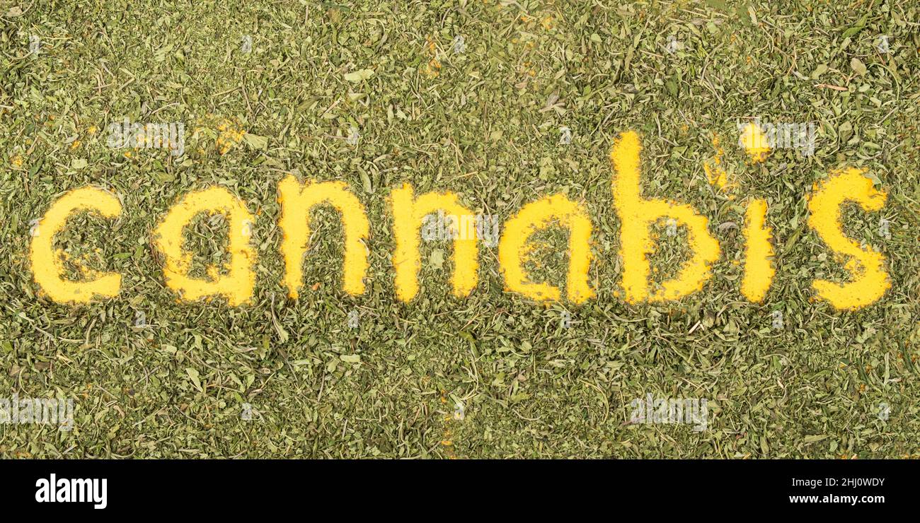 text cannabis word lettering with green dry leaf background. Stock Photo