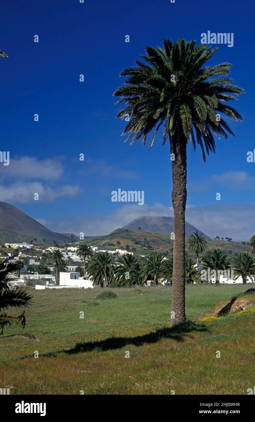 Landscape near Haria, Lanzarote, Canary Islands, Spain, Europe Stock Photo