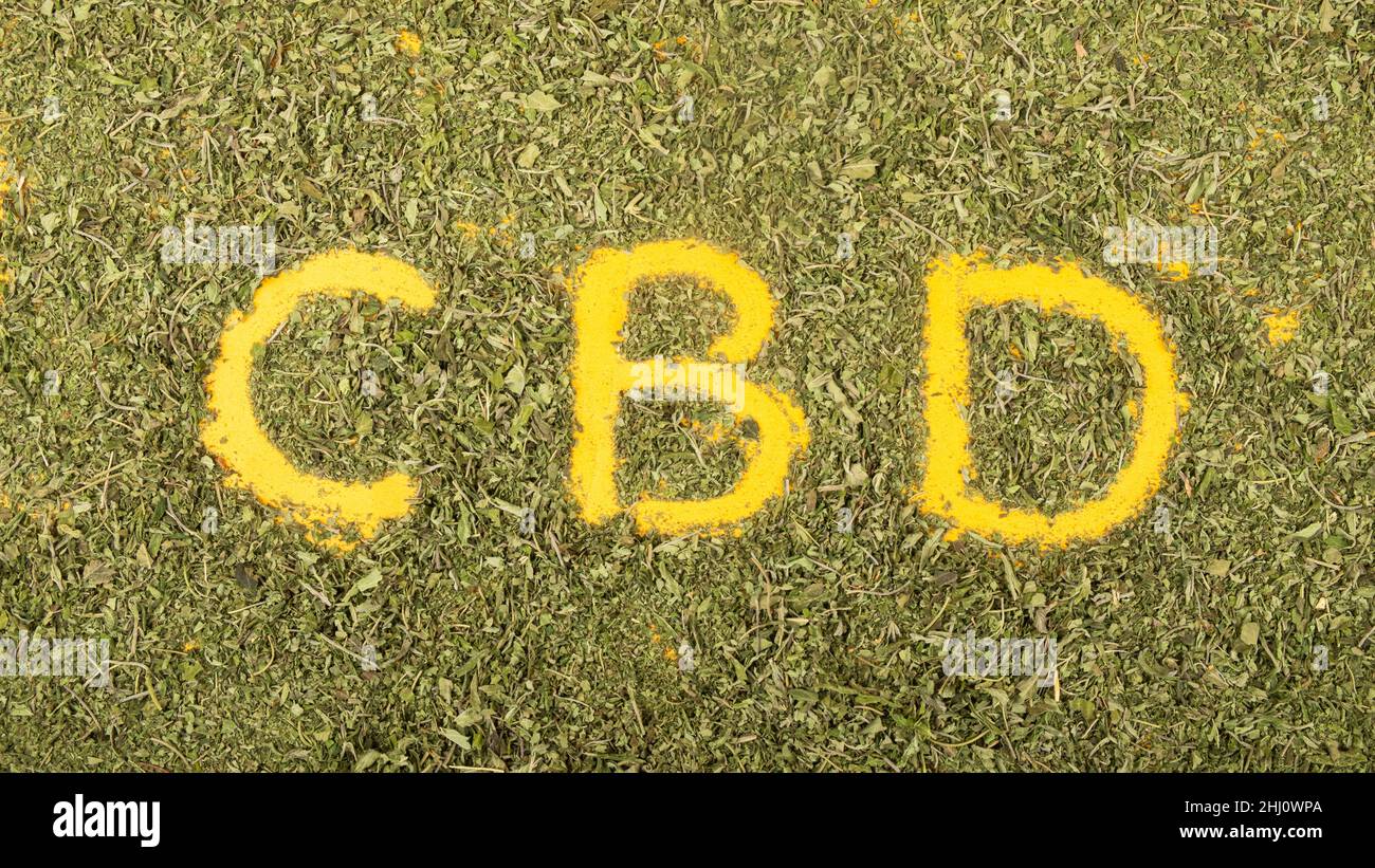 the word cbd in dry green cannabis leaves, marijuana medical sign Stock