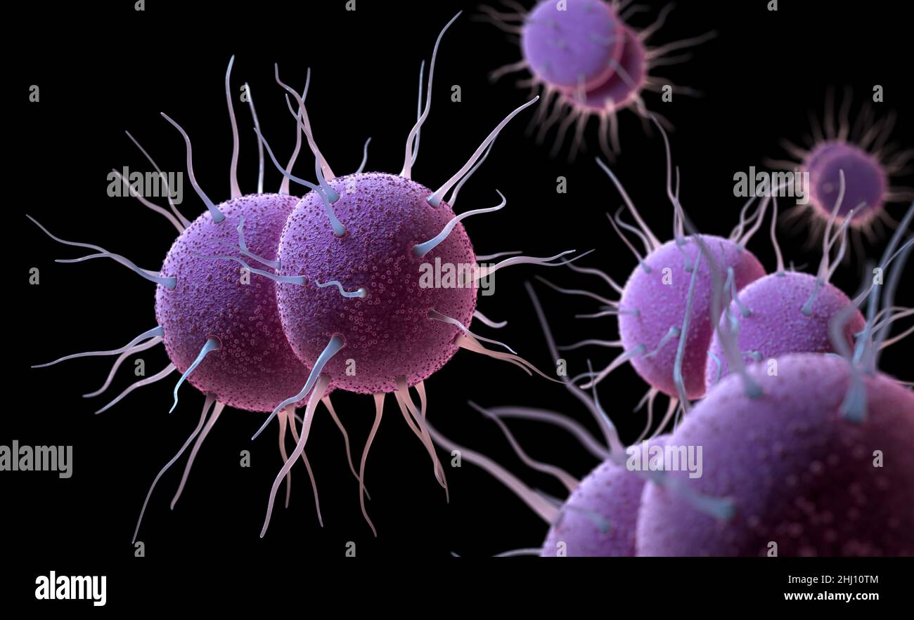 Neisseria gonorrhoeae, the bacterium responsible for the sexually transmitted infection Gonorrhea. 3D illustration Stock Photo