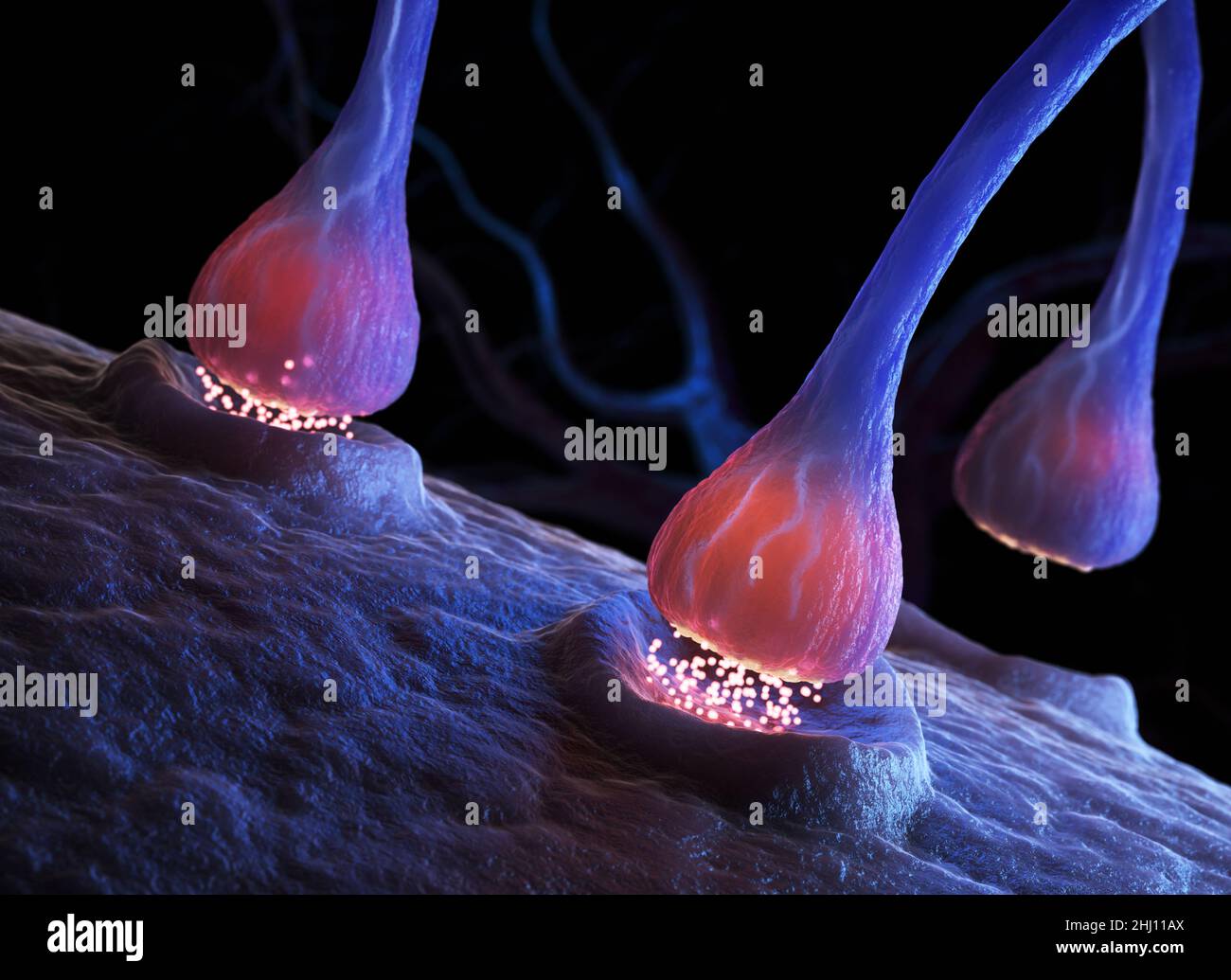 Synapse and Neuron cells sending electrical chemical signals . 3D illustration Stock Photo
