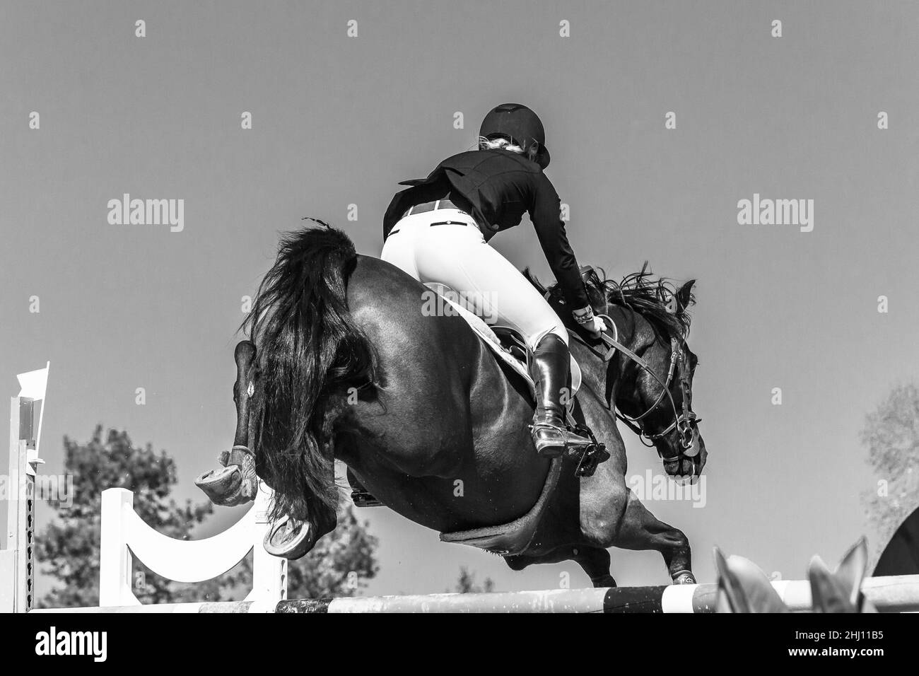 Horse girl rider jumping arena poles into sky rear behind action black white photo Stock Photo