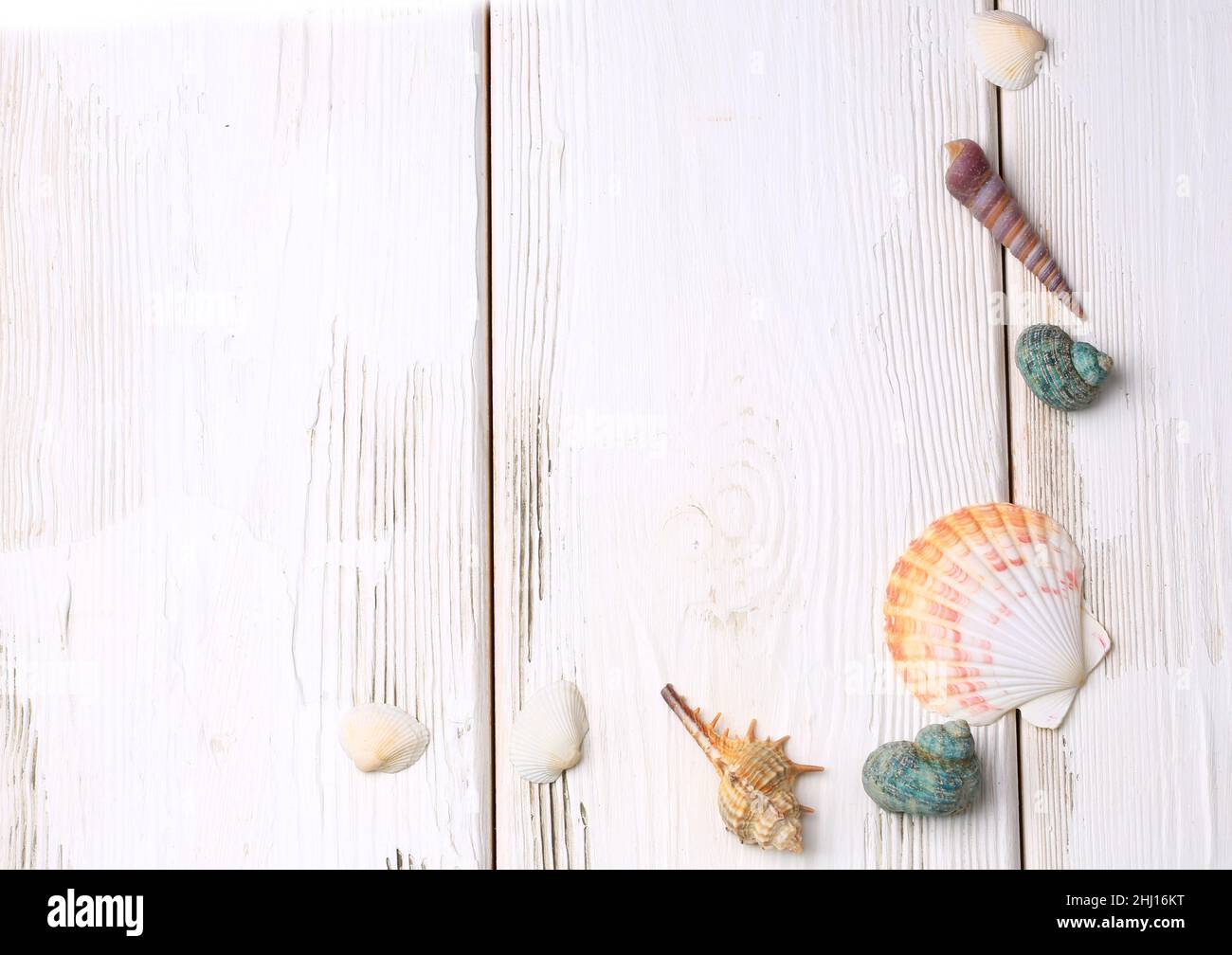 seashells on a white wooden background Stock Photo - Alamy