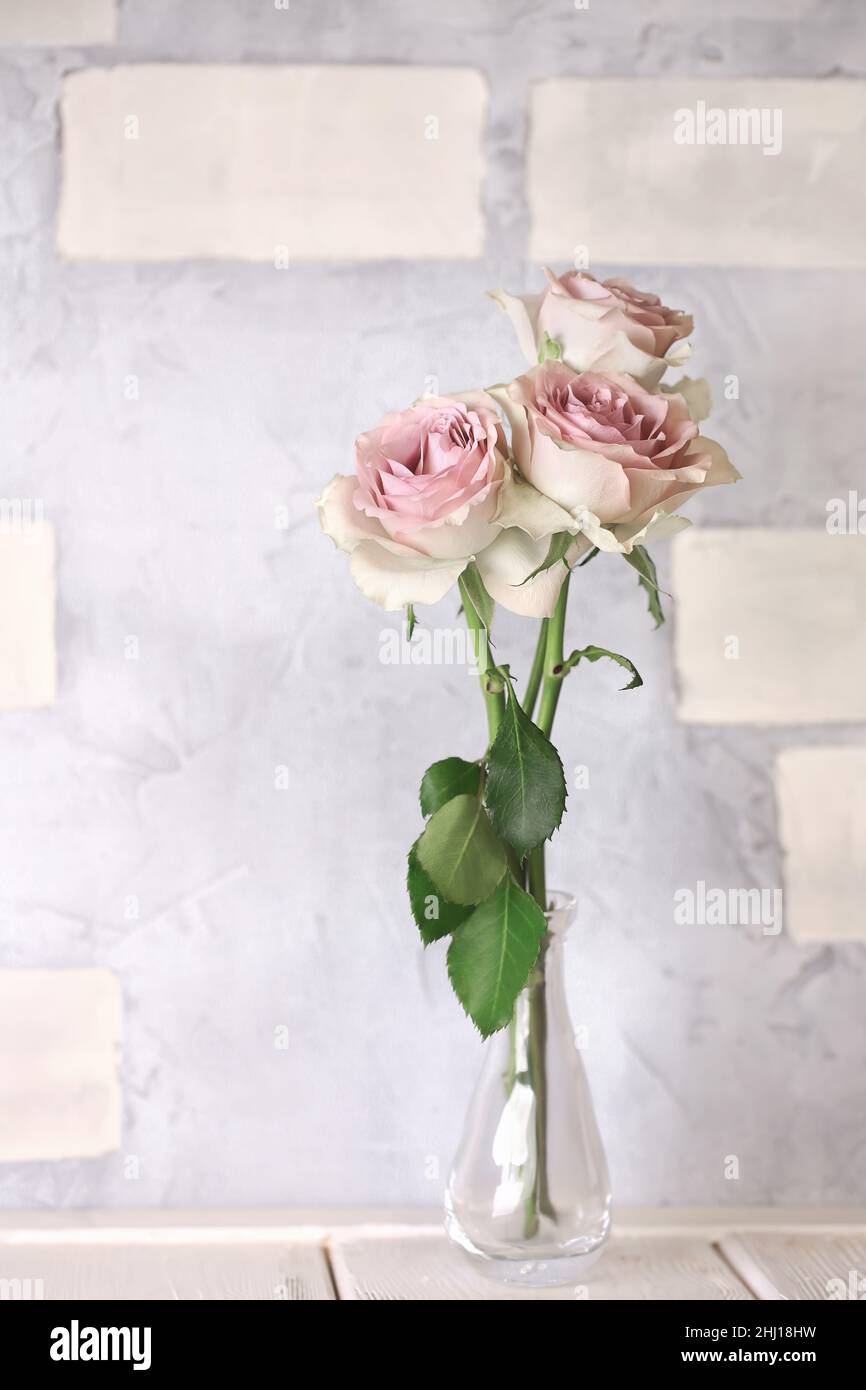 delicate pink roses in vintage, shabby chic Stock Photo - Alamy
