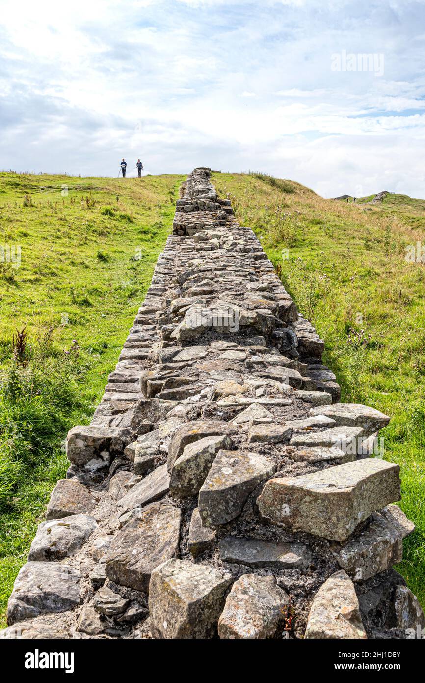 Hadrians Wall at Caw Gap, Shield on the Wall, Northumberland UK Stock Photo