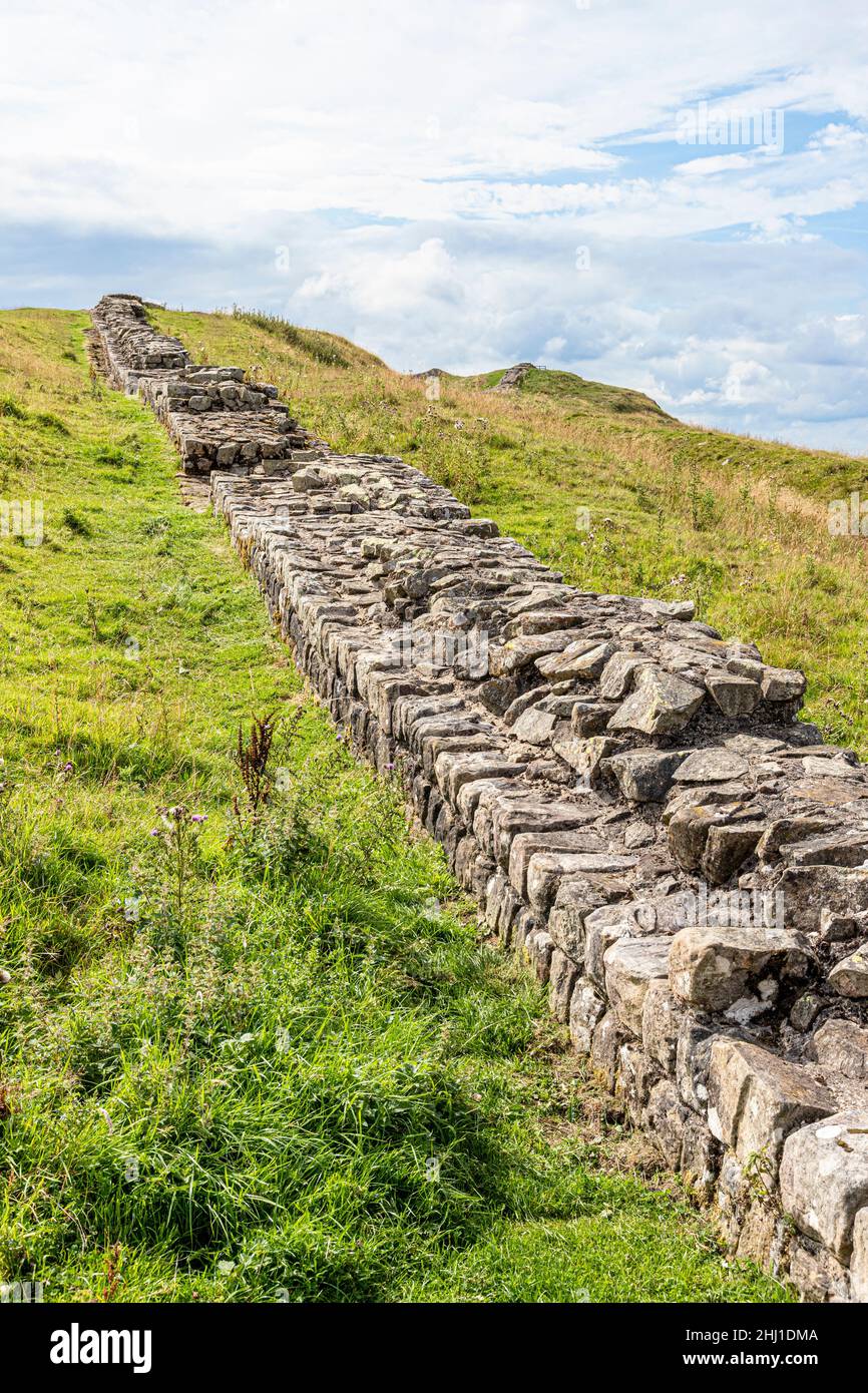 Hadrians Wall at Caw Gap, Shield on the Wall, Northumberland UK Stock Photo
