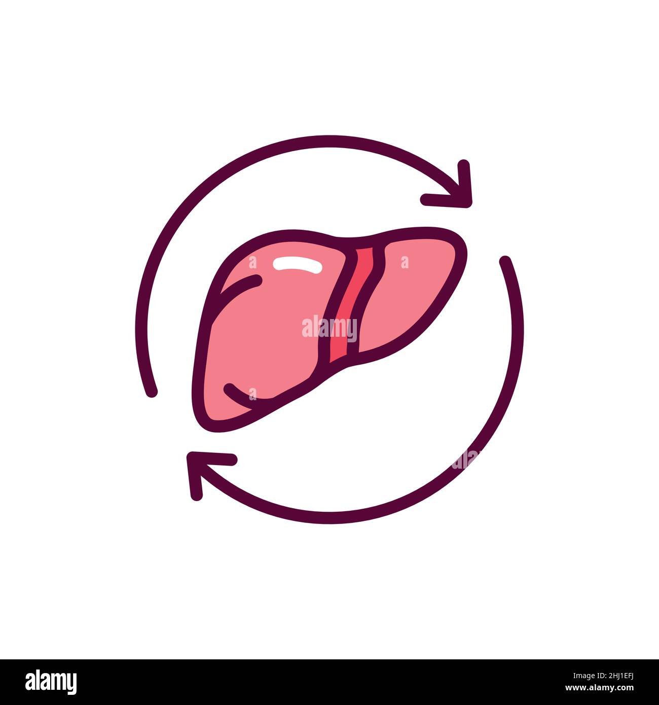 Human liver icon vector vectors hi-res stock photography and images - Alamy
