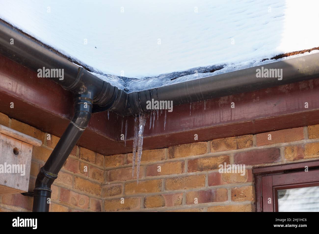 Valley of roof coated in snow & melting icy water produce blocked gutters and frozen downpipes with icicles forming on gutter dripping ice cold water Stock Photo