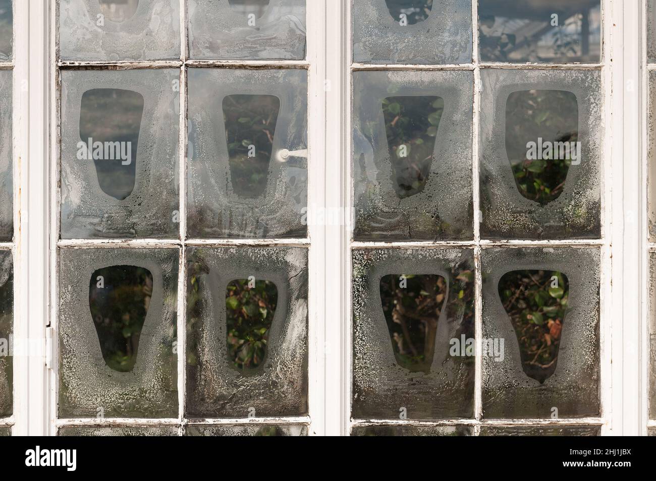 Deposited salt layers on inside of steel glass windows producing obscured view of shrubs inside, windows decaying eroding from condensation Stock Photo