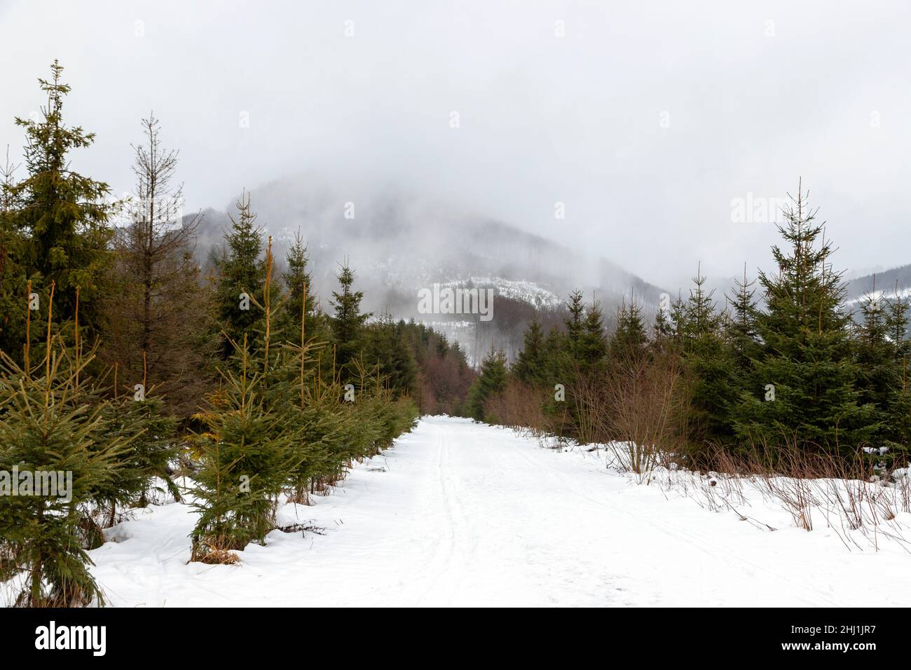 Schmallenberg Winter High Resolution Stock Photography and Images - Alamy