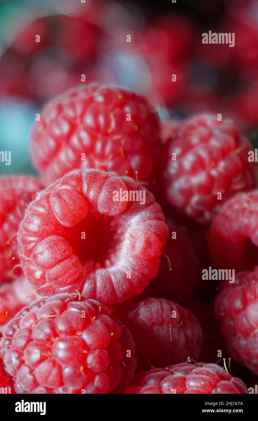 Close-up of a ripe raspberry against a background of other berries, bokeh Stock Photo