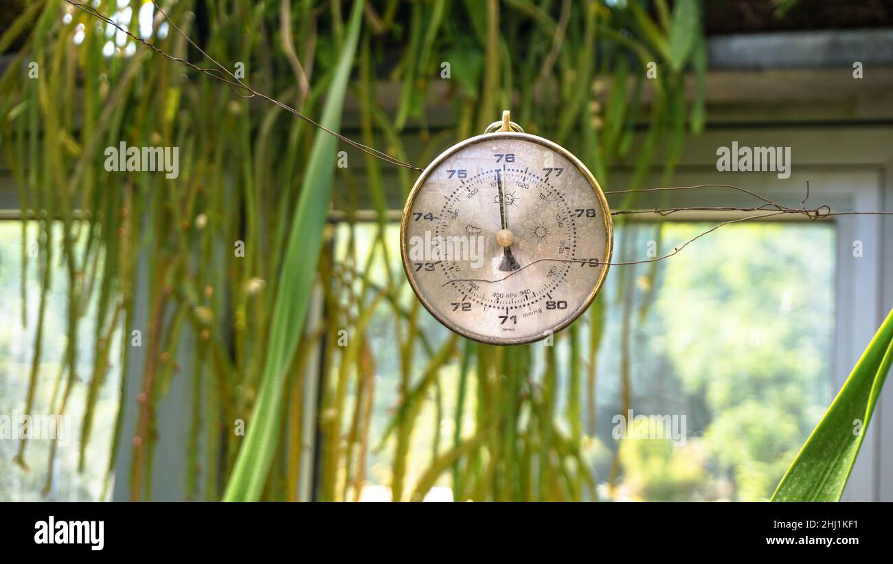 An old barometer on a background of green leaves Stock Photo