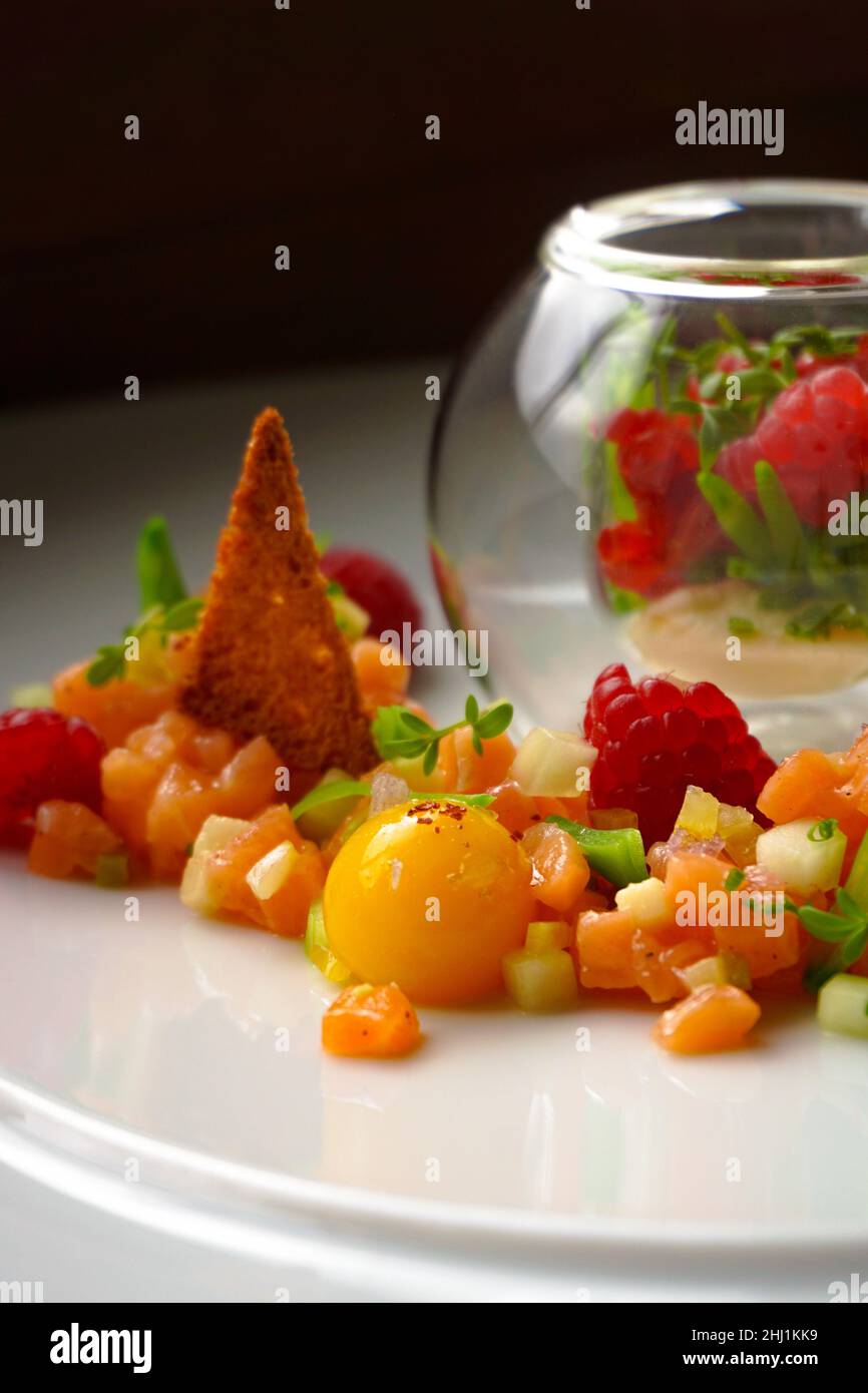 An appetizer at a gourmet restaurant, chef's salmon tartare with raspberries and egg yolk Stock Photo