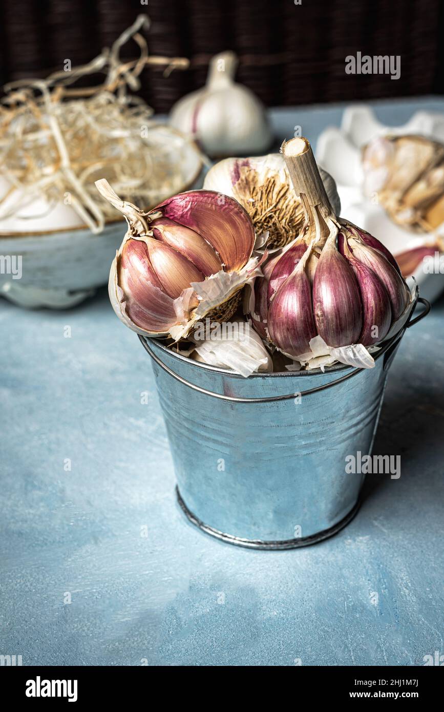 Young garlic with purple streaks in a small metal bucket Stock Photo