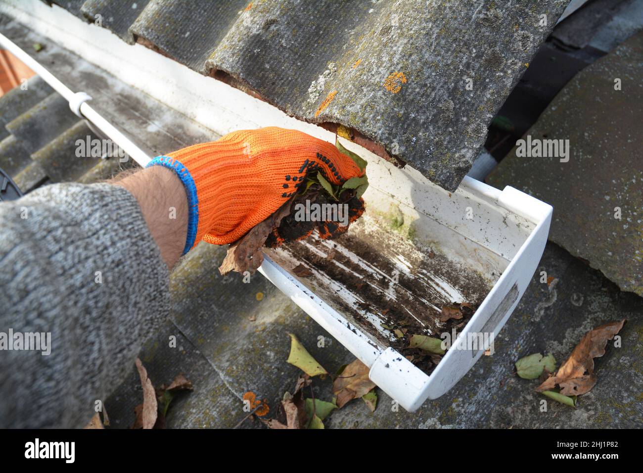 Rain Gutter Cleaning from Leaves in Autumn with hand.  Roof Gutter Cleaning Tips. Clean Your Gutters Before They Clean Out Your Wallet. Step by Step. Stock Photo