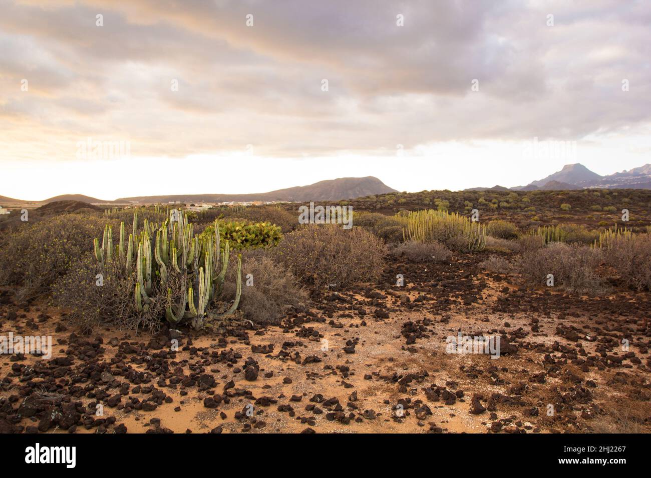 Beautiful desert landscape in Tenerife. Canary Islands, Spain. Stock Photo