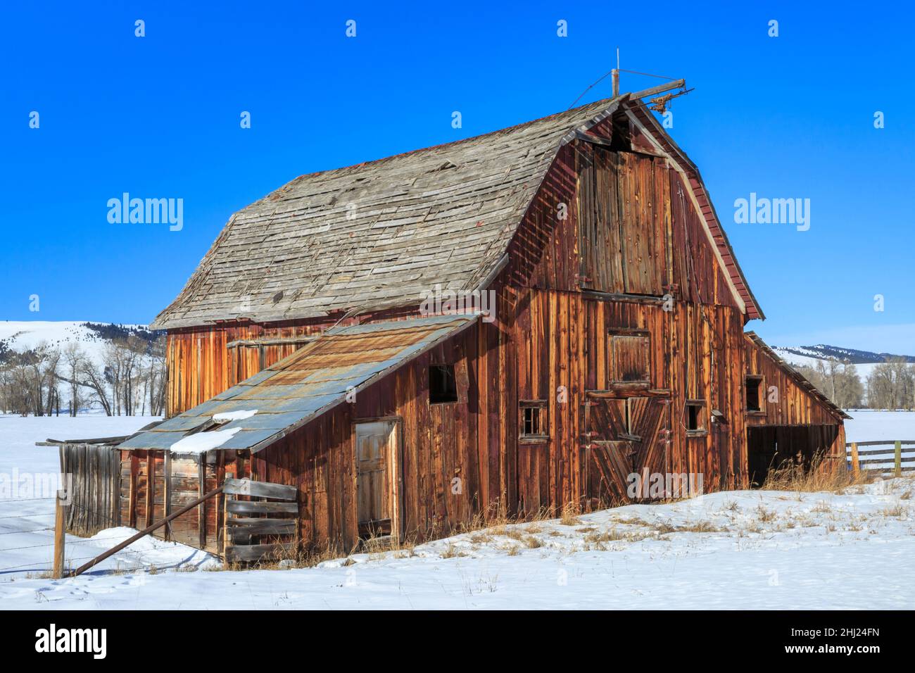 old barn in winter near philipsburg, montana Stock Photo