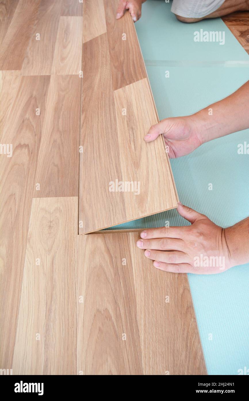 Contractor installing wooden laminate flooring with insulation and soundproofing sheets. Man