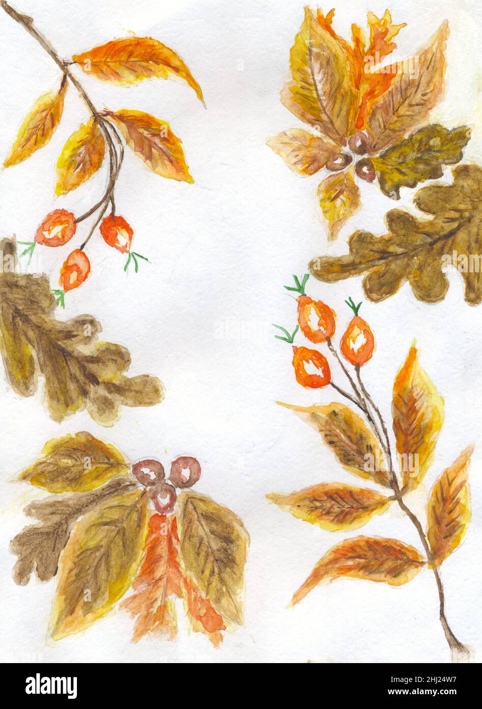 Colorful decorative frame with autumn leaves, hand drawn illustration ...