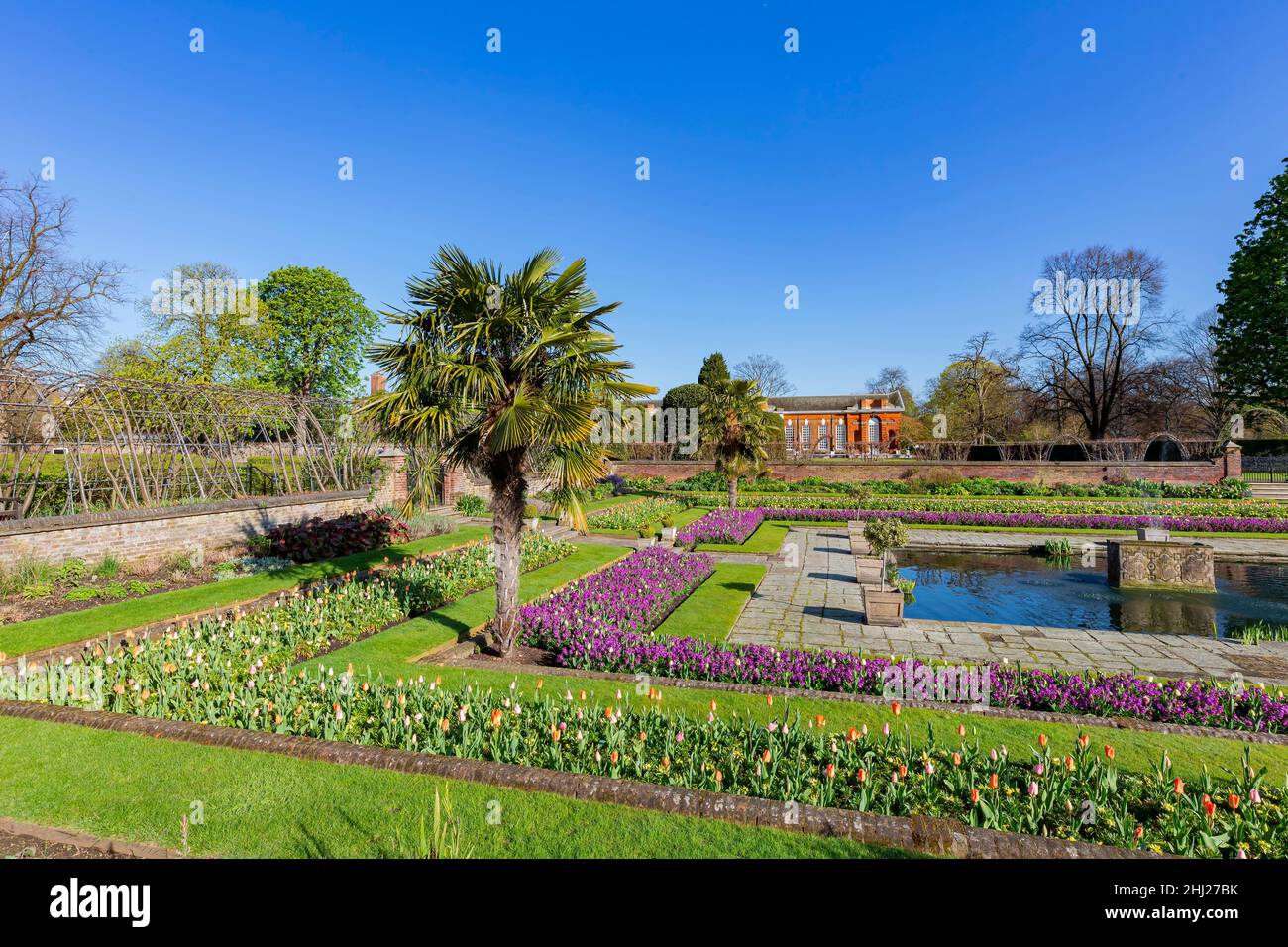 Flower blossom in Hyde Park at London, United Kingdom Stock Photo - Alamy