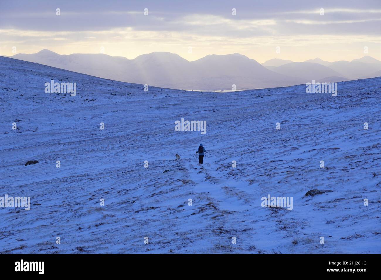 Lone female walker ascending Leum Uilleim a Corbett mountain, with mountains of Glen Coe in distance, Scottish Highlands, United Kingdom Stock Photo