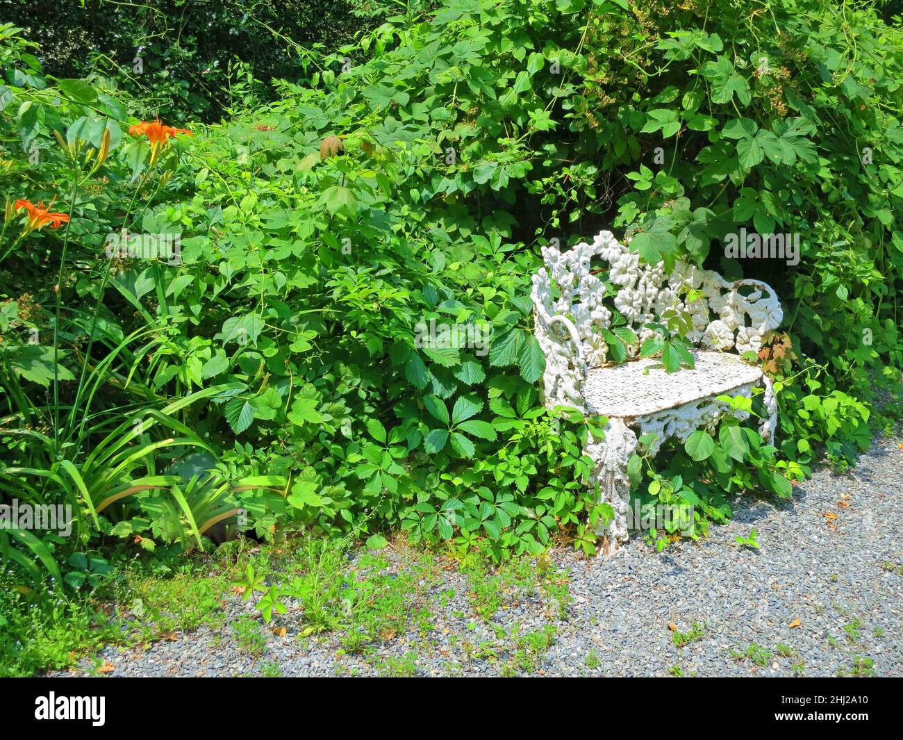 White metal garden bench hi-res stock photography and images - Alamy
