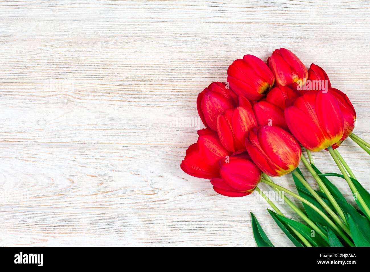 Red tulips flowers bouquet on old white wooden background. Top view with copy space. Stock Photo